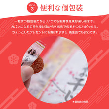 画像をギャラリービューアに読み込む, 【沖縄産】種なし まろやか干し梅 1袋 石垣の塩使用 塩分控えめ おやつやお茶うけに 個包装 便利な大容量パック しょっぱい甘い梅 熱中症対策