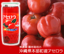 画像をギャラリービューアに読み込む, 果実入りアセロラドリンク 195g×30本