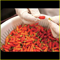 画像をギャラリービューアに読み込む, 島ネロ70g