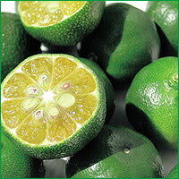 画像をギャラリービューアに読み込む, JAおきなわ シークヮーサー100 500ml