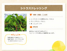 画像をギャラリービューアに読み込む, 沖縄バヤリース 四季柑500ml