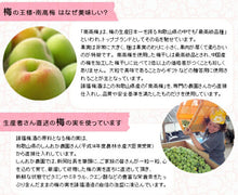 画像をギャラリービューアに読み込む, 請福梅酒 12度 1800ml