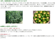 画像をギャラリービューアに読み込む, まるごとしぼり 360ml