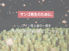画像をギャラリービューアに読み込む, ナゴワインサマースノースパークリングワイン辛口750ml