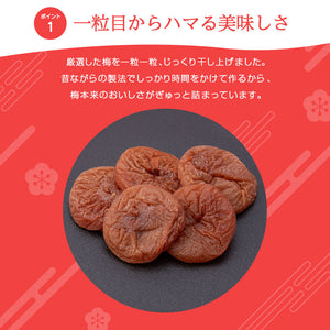 【沖縄産】種なし まろやか干し梅 1袋 石垣の塩使用 塩分控えめ おやつやお茶うけに 個包装 便利な大容量パック しょっぱい甘い梅 熱中症対策