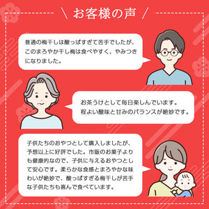 【沖縄産】種なし まろやか干し梅 1袋 石垣の塩使用 塩分控えめ おやつやお茶うけに 個包装 便利な大容量パック しょっぱい甘い梅 熱中症対策