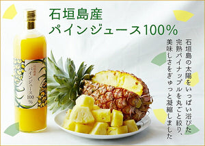 石垣島産パイナップルジュース 900ml